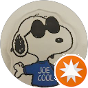 Joe Cool